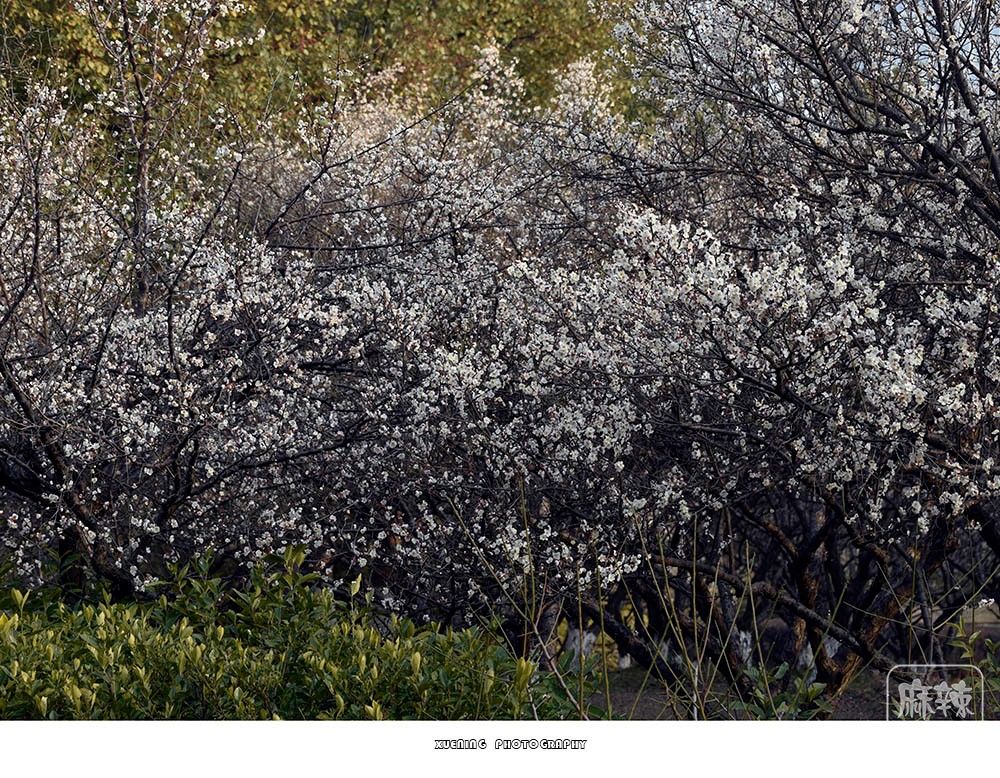 _DSC1796 ����.jpg