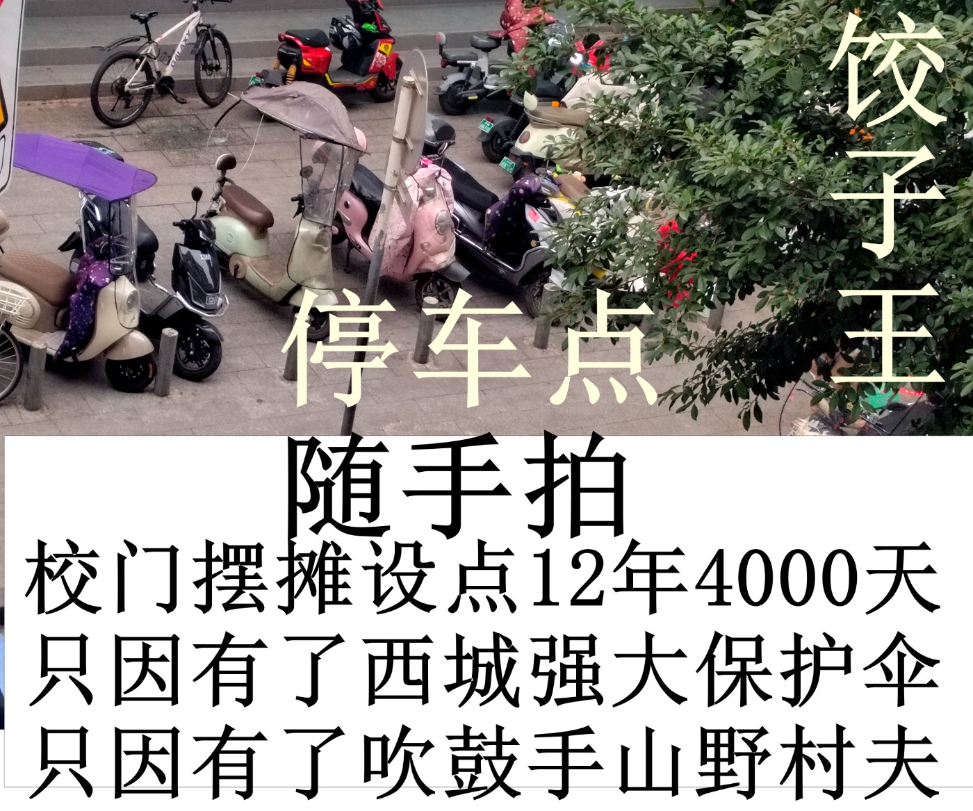 IMG_20260124_165619 - ����.jpg