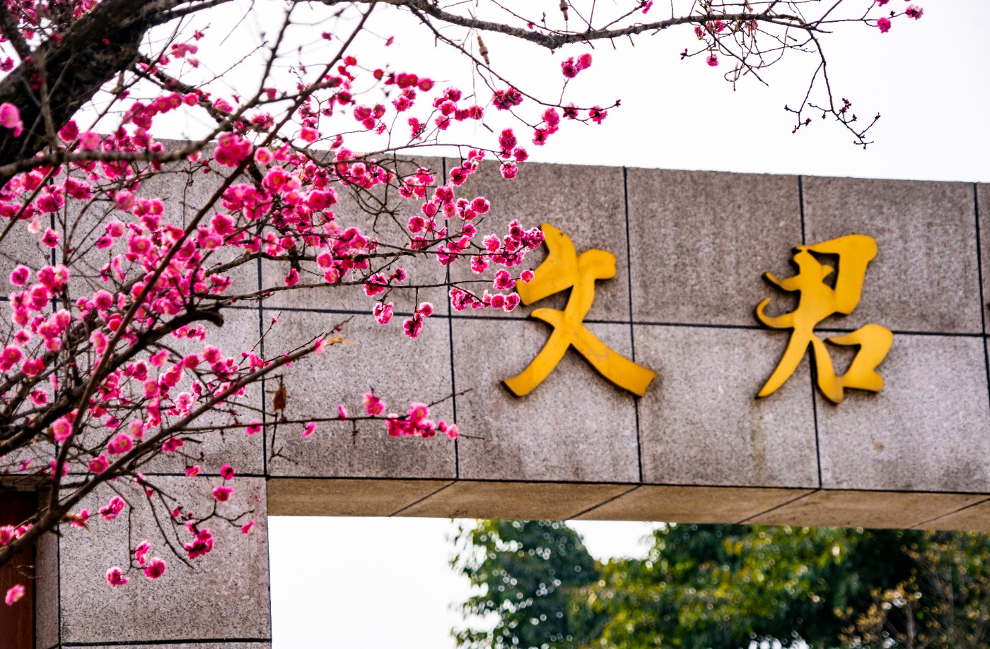 DSC00126 ����.jpg