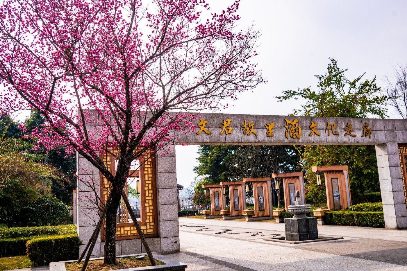 DSC00125 ����.jpg