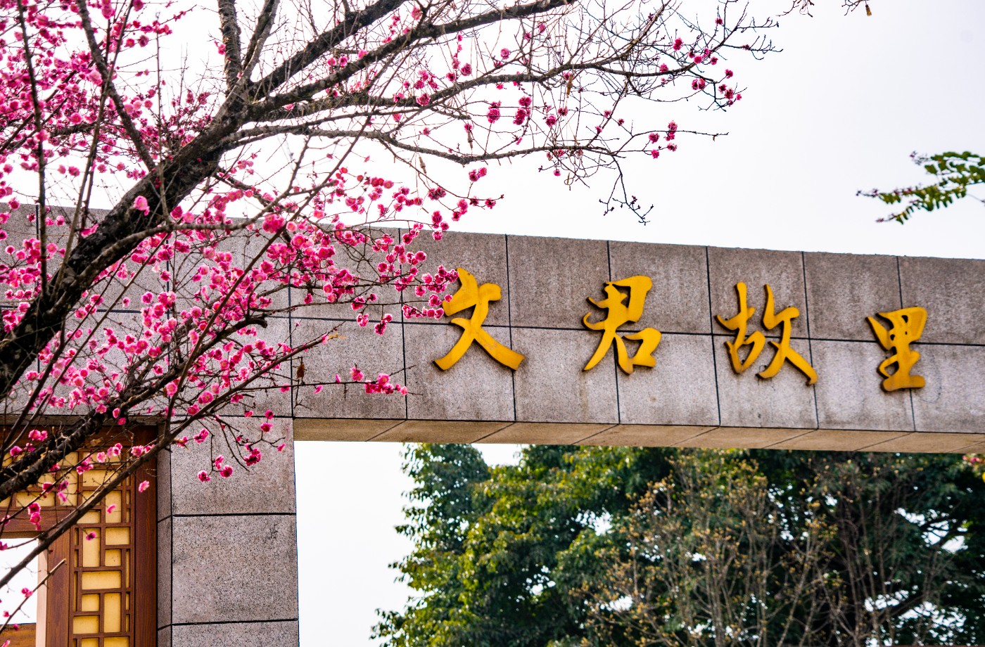 DSC00127 ����.jpg