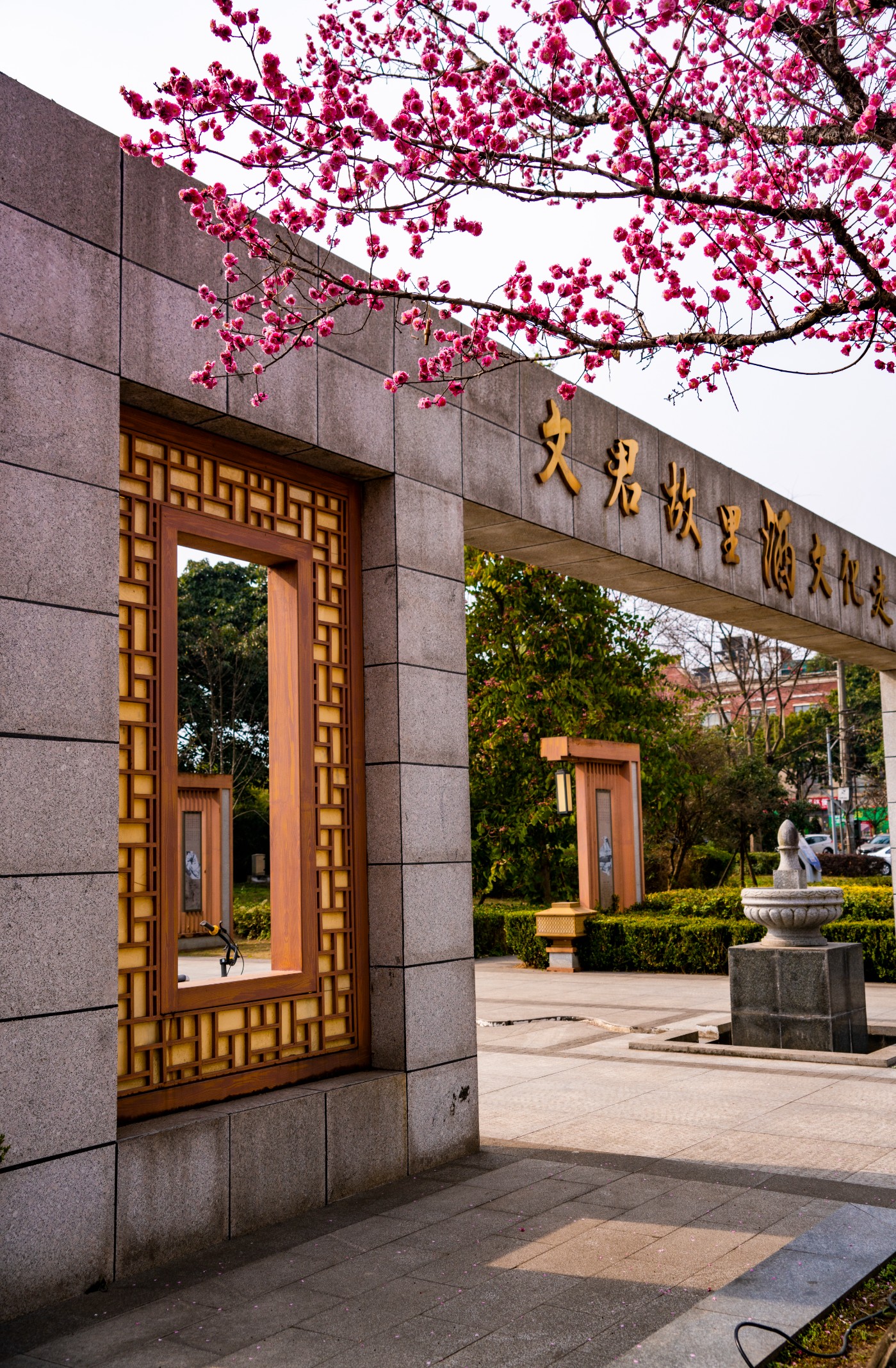 DSC00128 ����.jpg