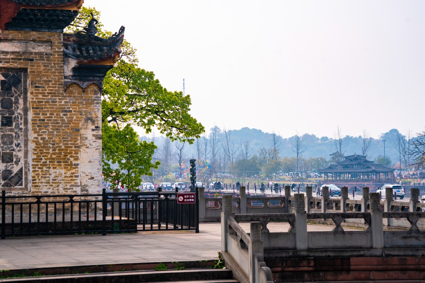 DSC00134 ����.jpg