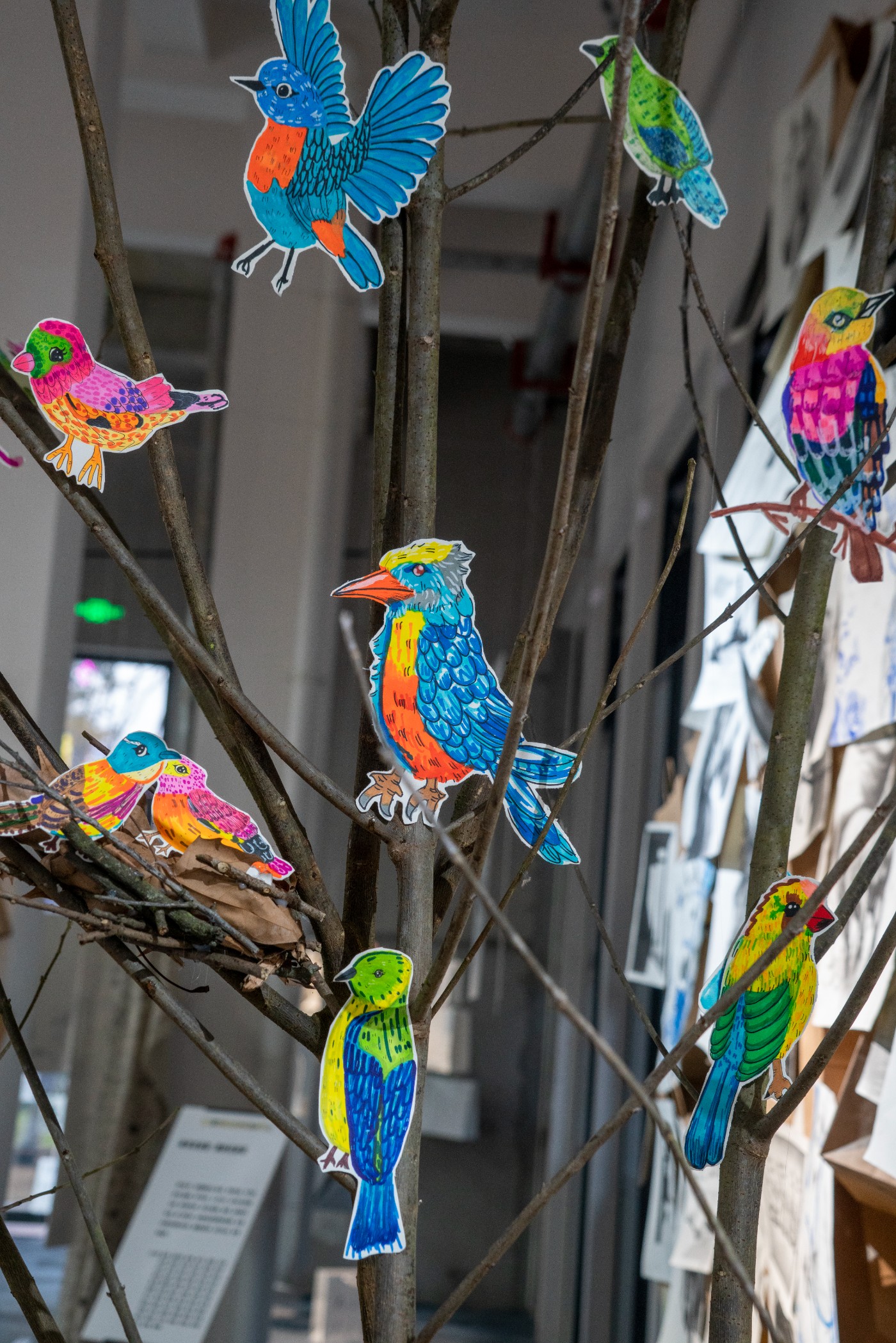 DSC00151 ����.jpg