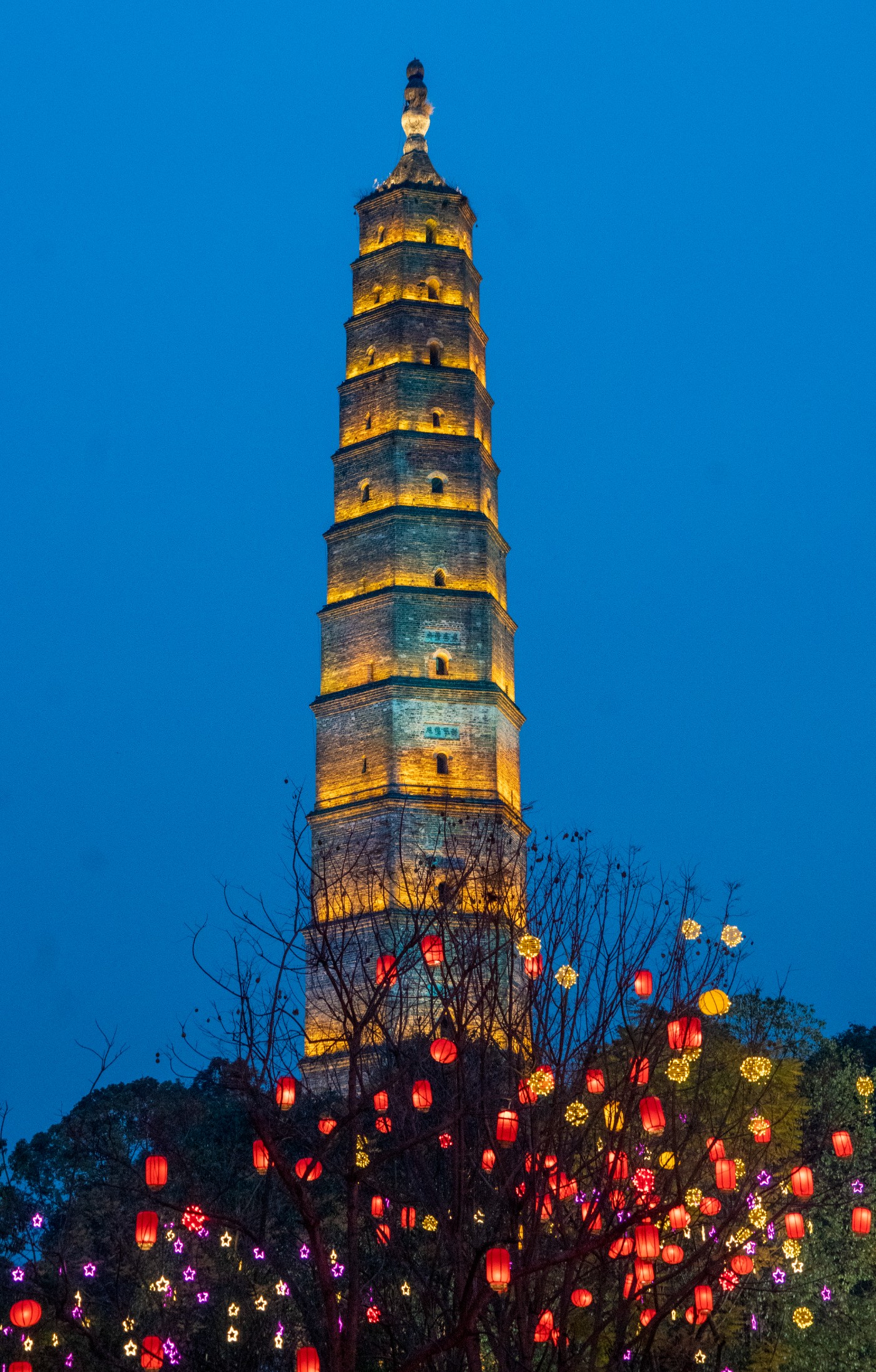 DSC00198 ����.jpg