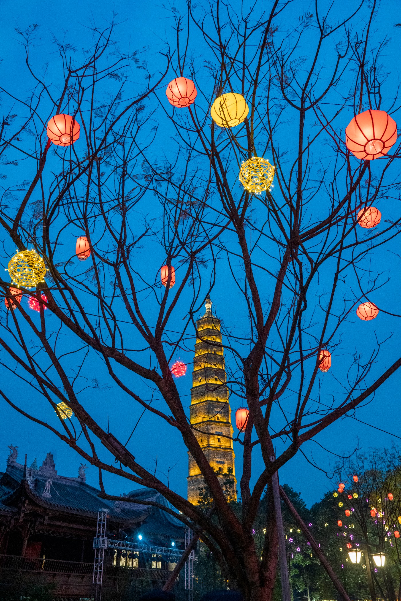 DSC00202 ����.jpg