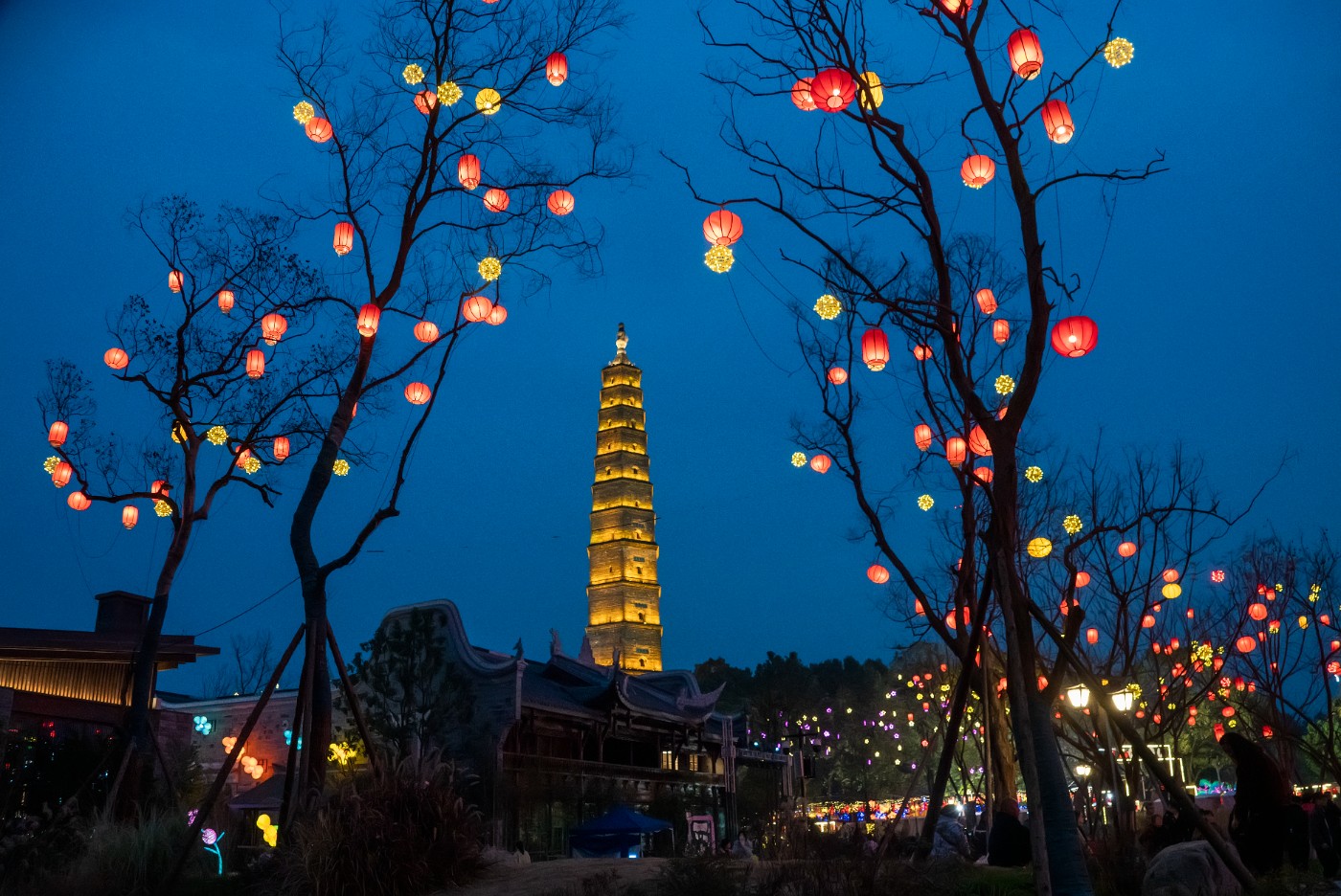 DSC00207 ����.jpg