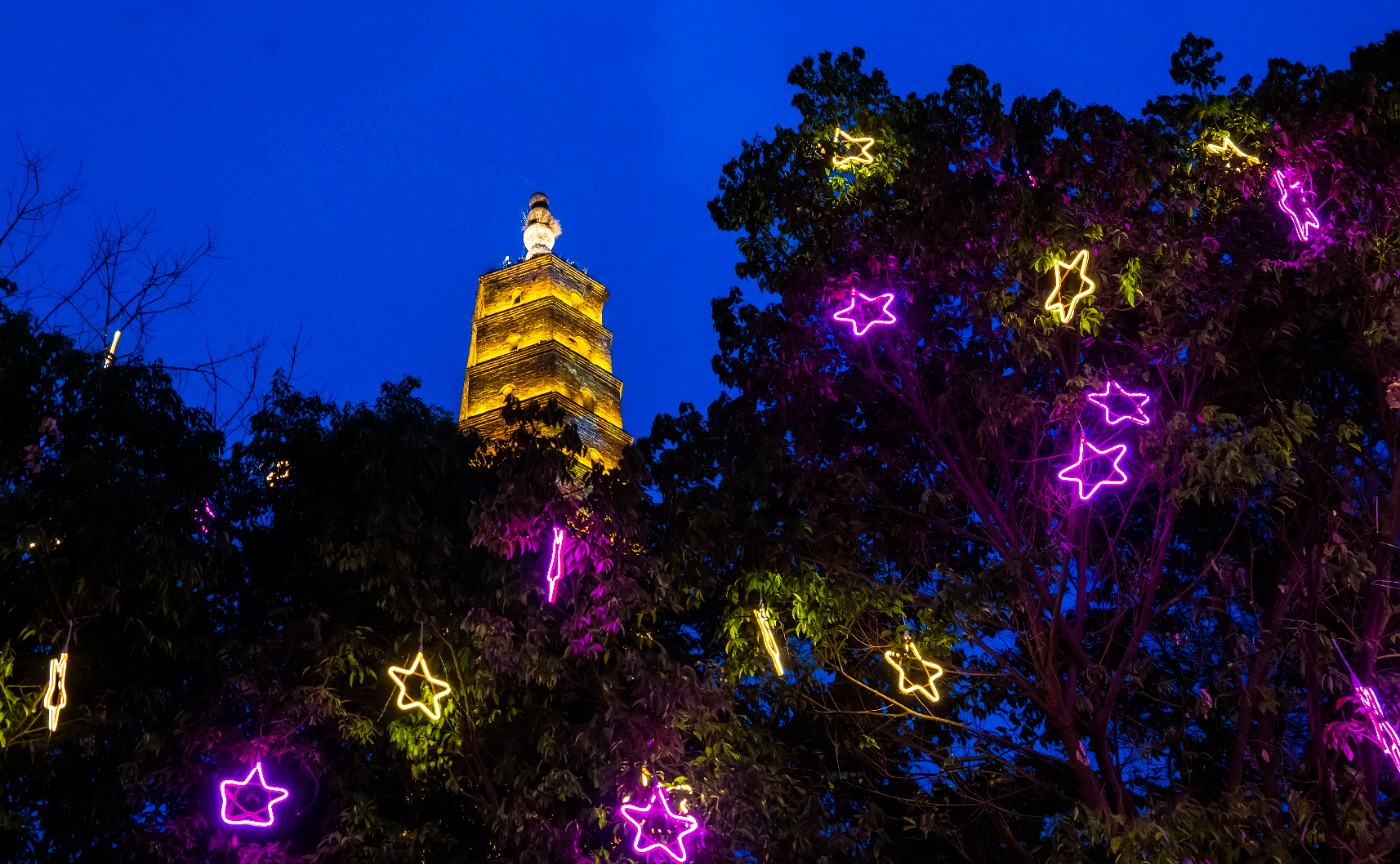 DSC00211 ����.jpg