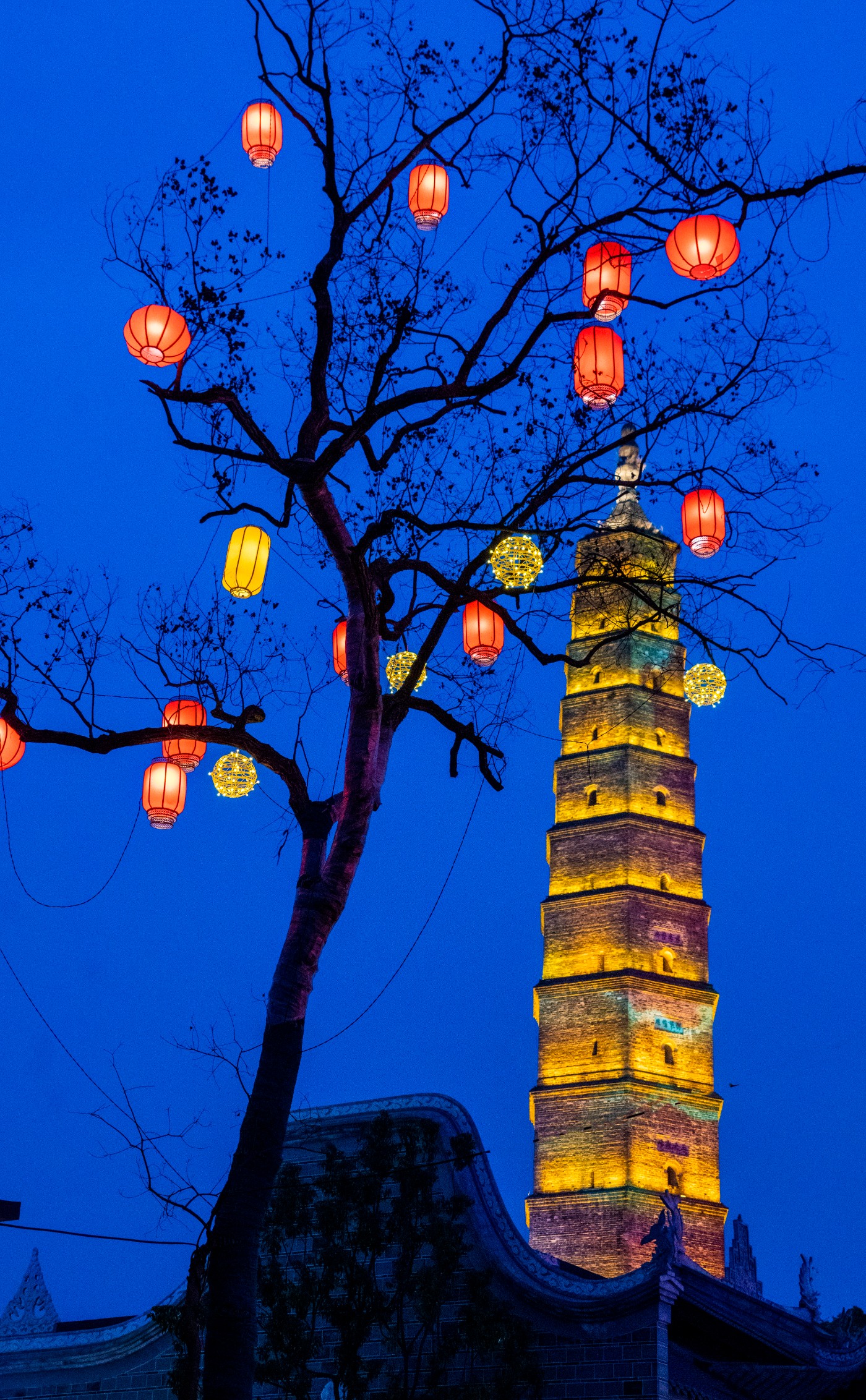 DSC00208 ����.jpg