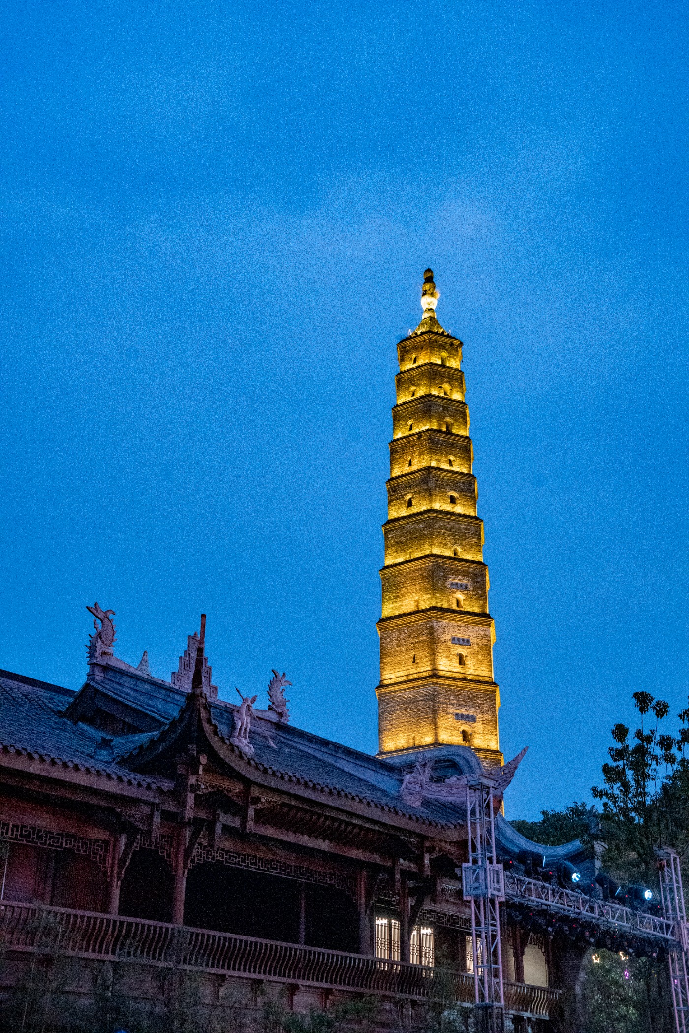 DSC00203 ����.jpg