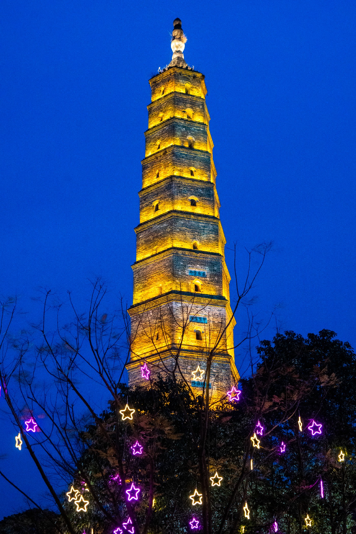 DSC00210 ����.jpg