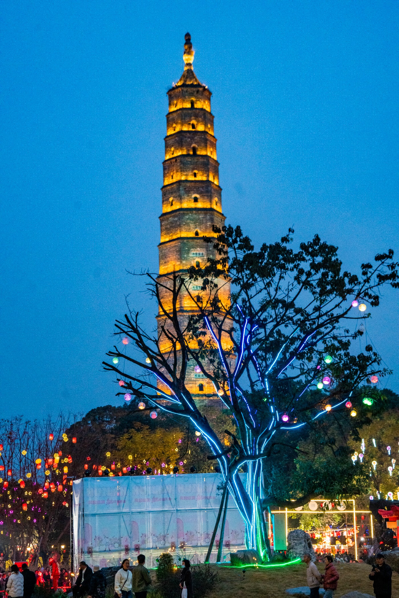 DSC00194 ����.jpg