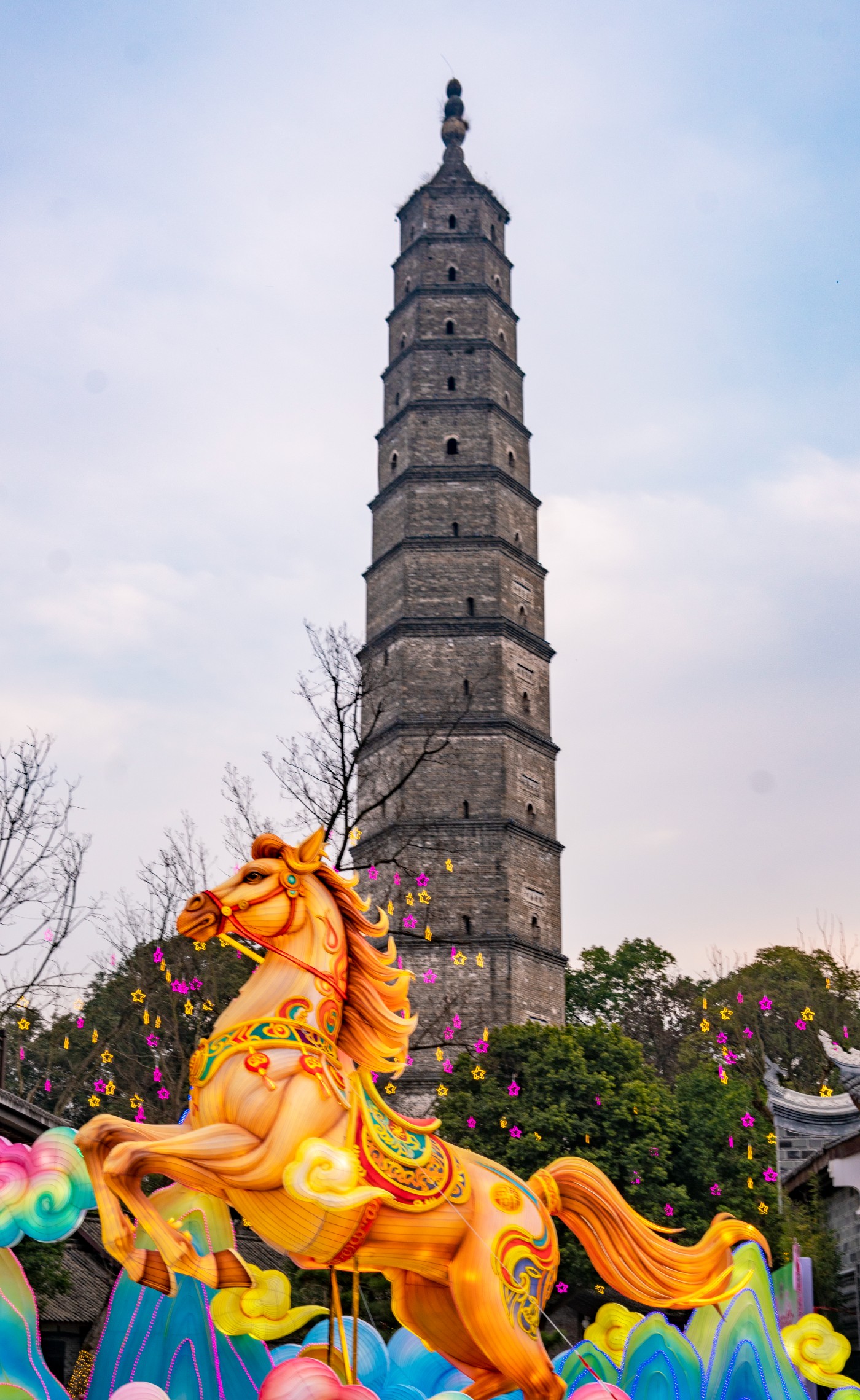 DSC00175 ����.jpg