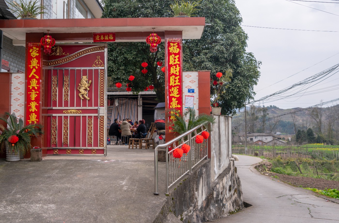 DSC09895 ����.jpg