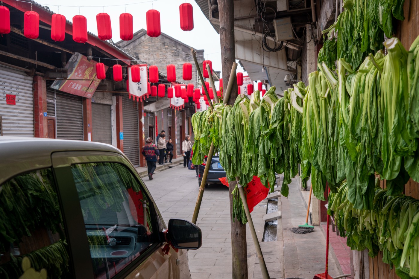 DSC09859 ����.jpg