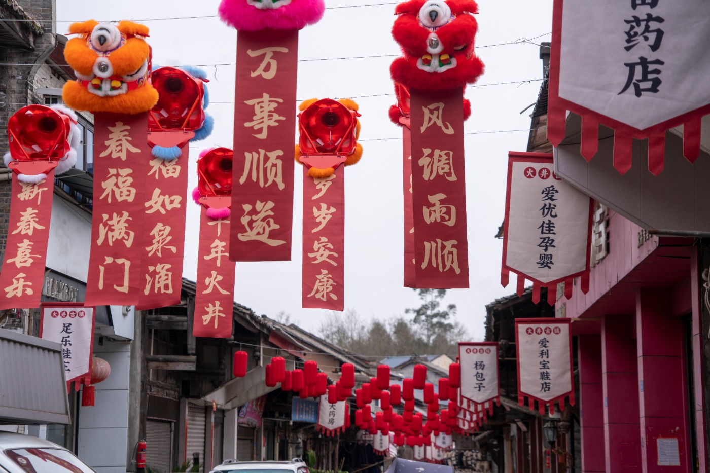 DSC09864 ����.jpg