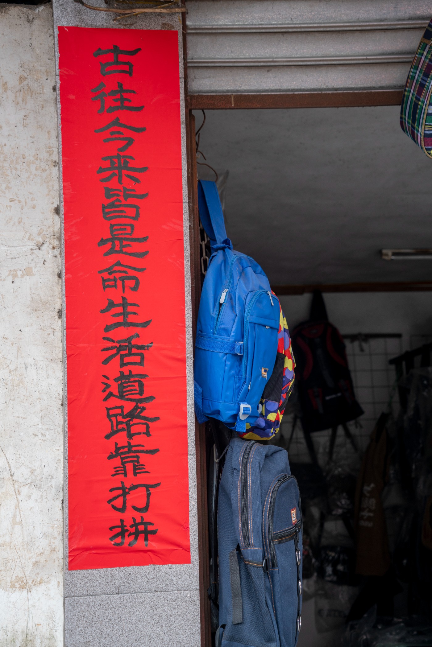 DSC09868 ����.jpg