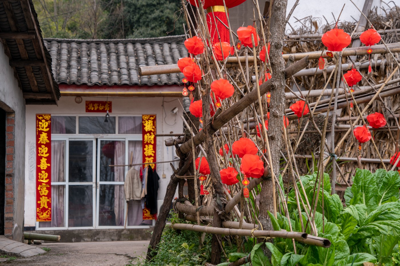 DSC09912 ����.jpg