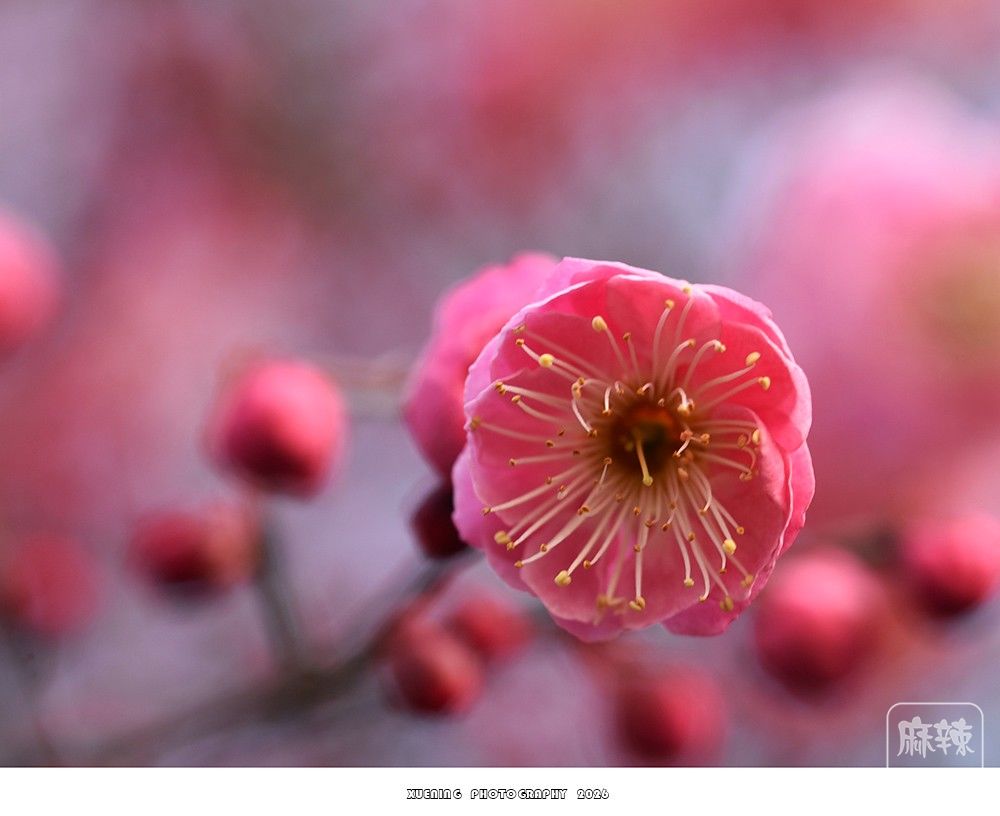 _DSC1954 ����.jpg