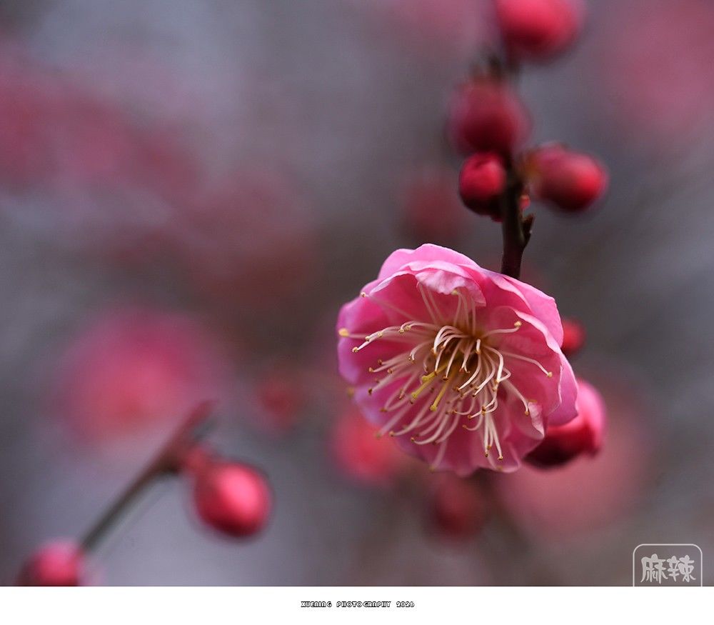 _DSC1976 ����.jpg