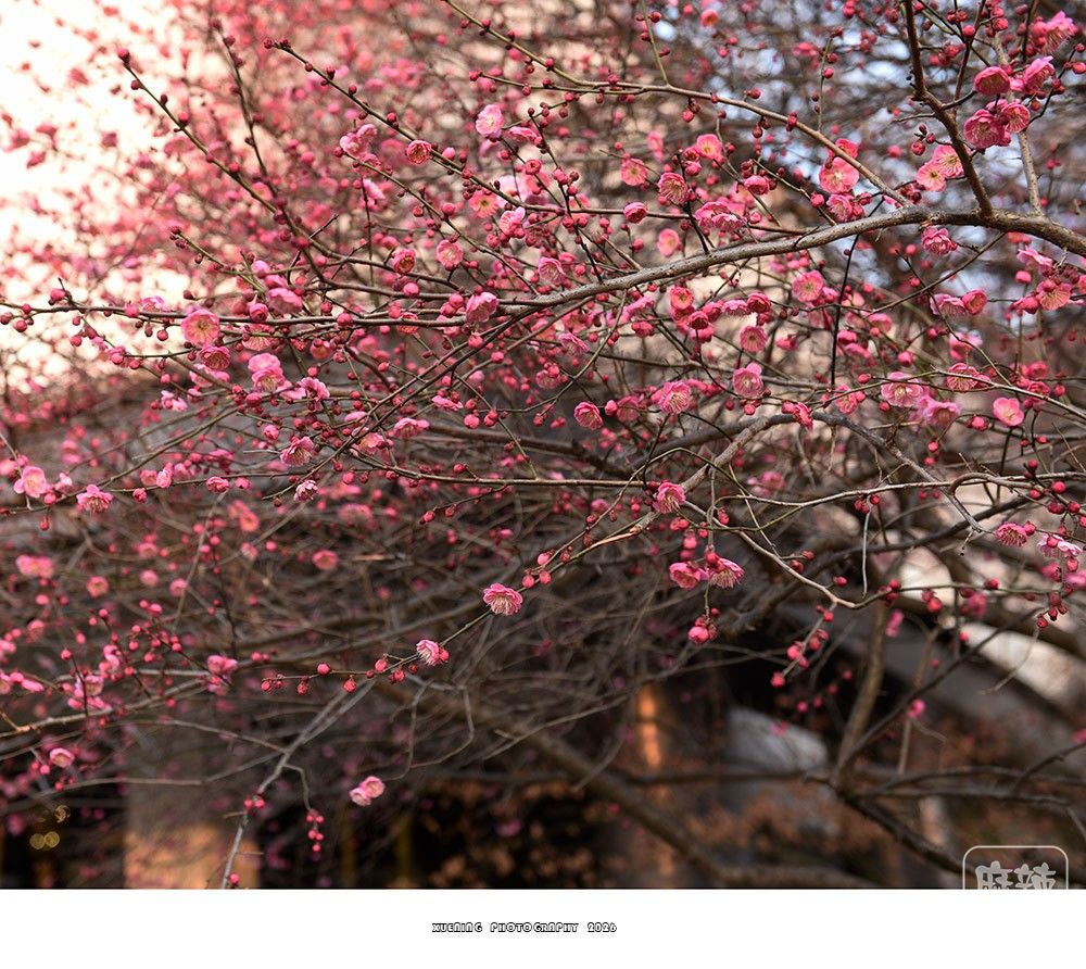 _DSC1948 ����.jpg