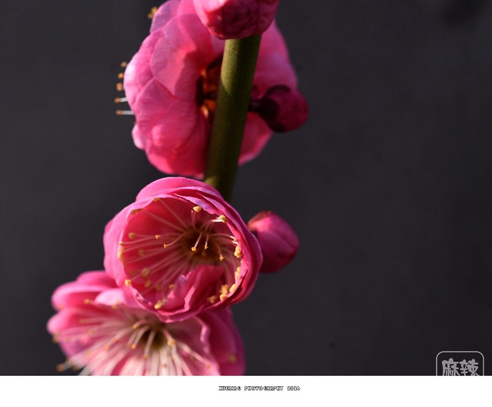 _DSC2022 ����.jpg