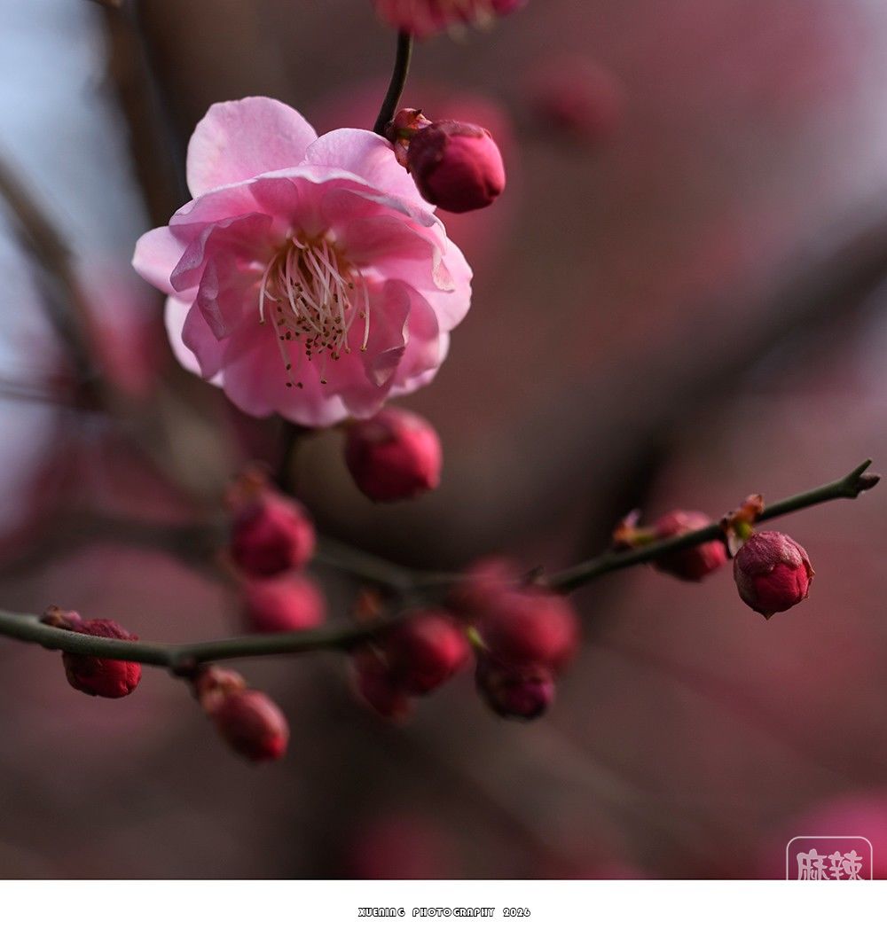 _DSC1983 ����.jpg