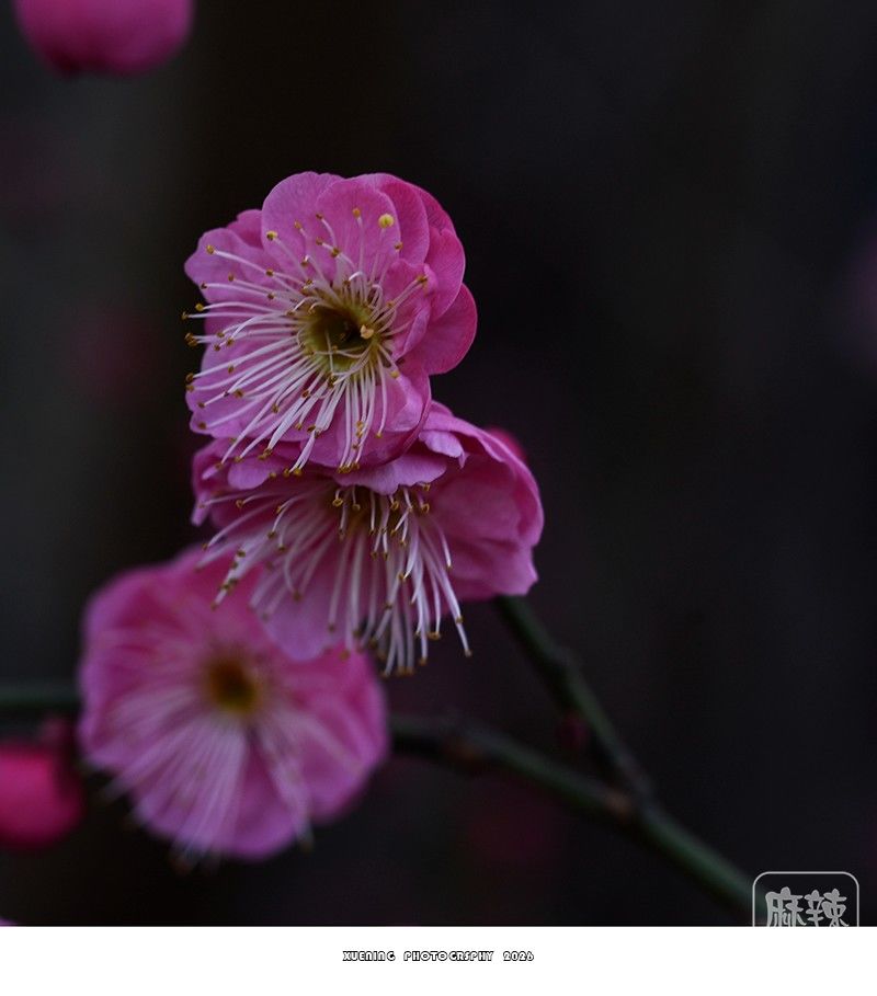 _DSC2041 ����.jpg