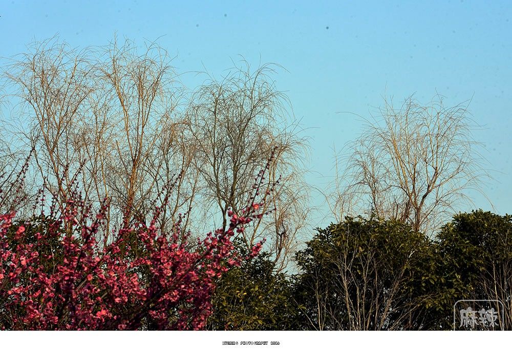 _DSC2159 ����.jpg