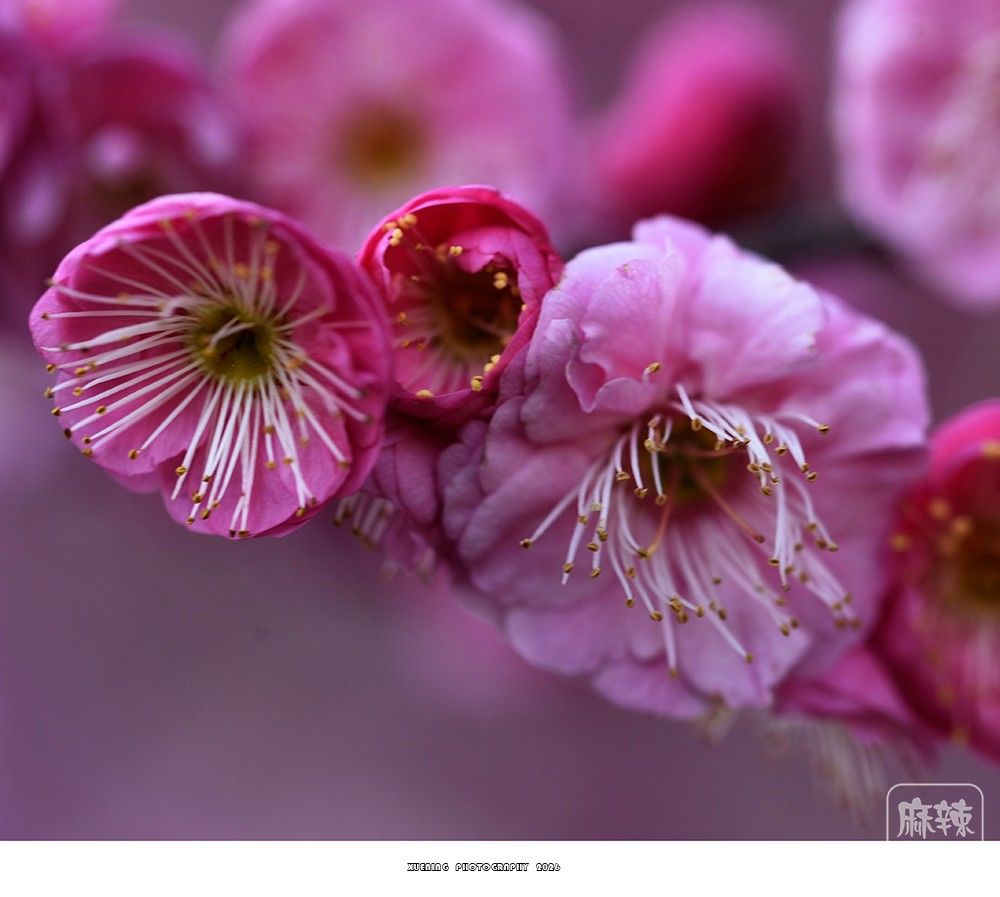 _DSC2056 ����.jpg