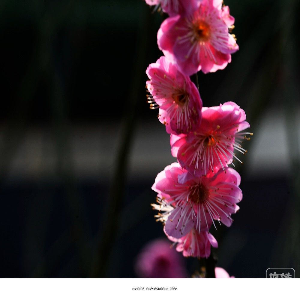 _DSC2030 ����.jpg