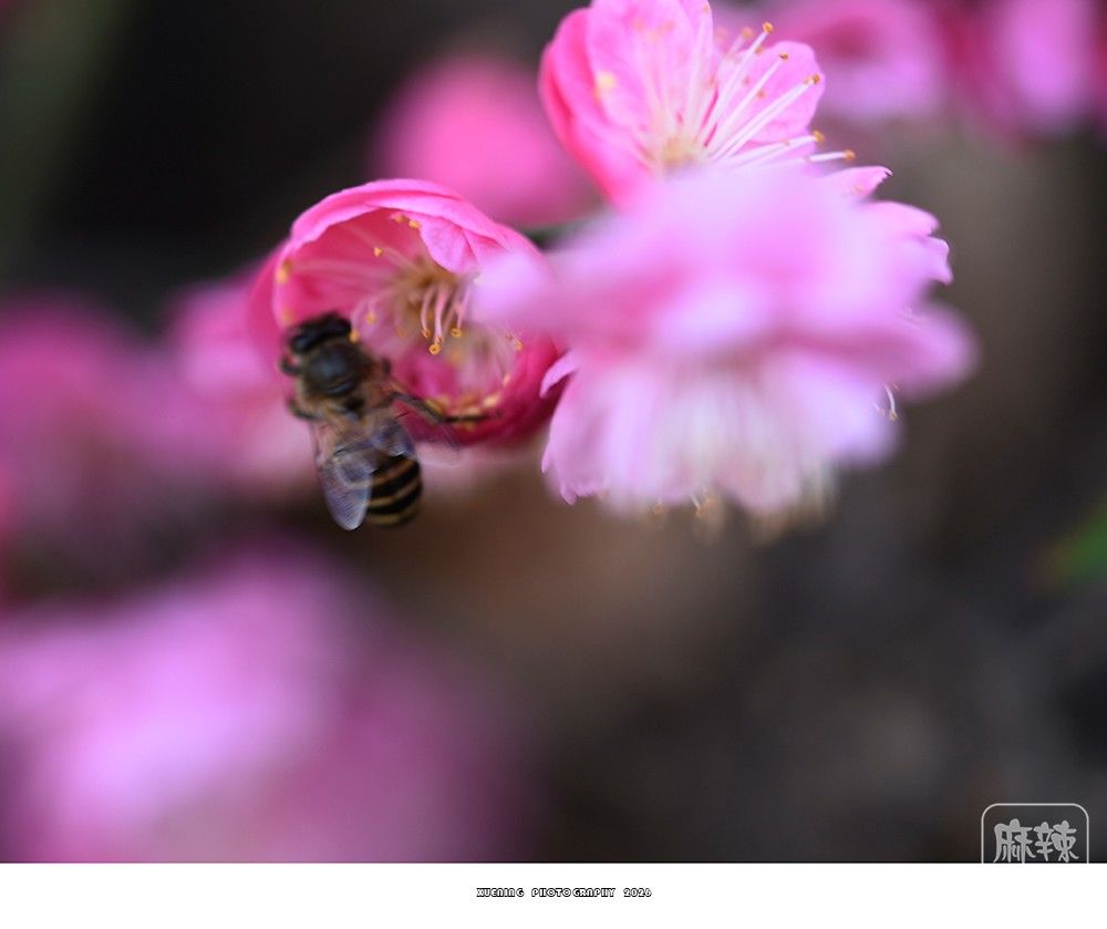 _DSC2050 ����.jpg