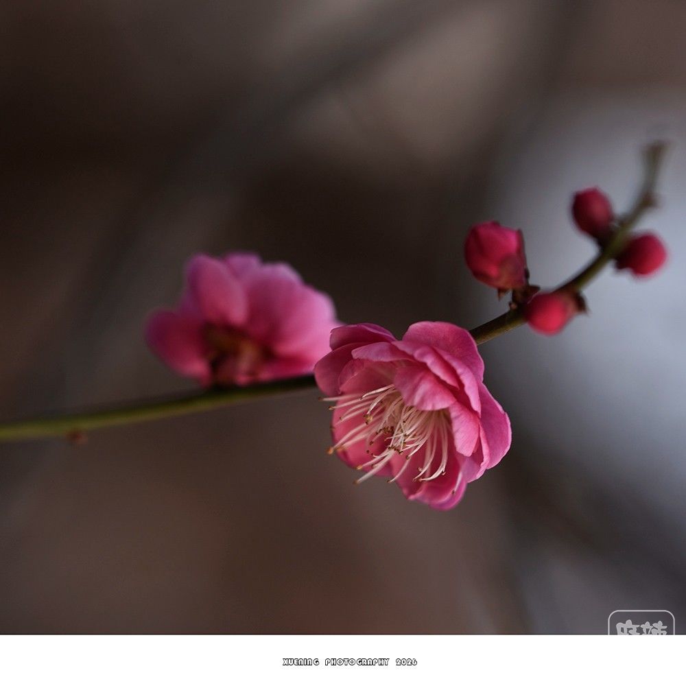 _DSC1985 ����.jpg