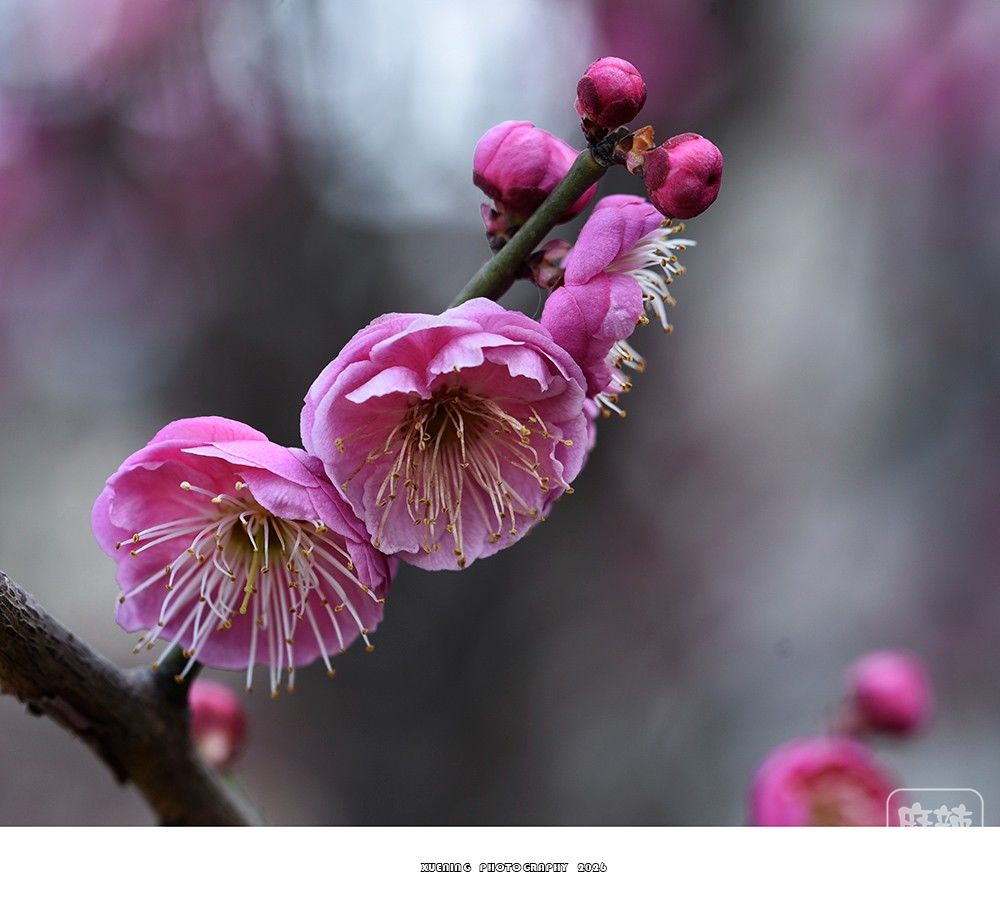 _DSC2035 ����.jpg