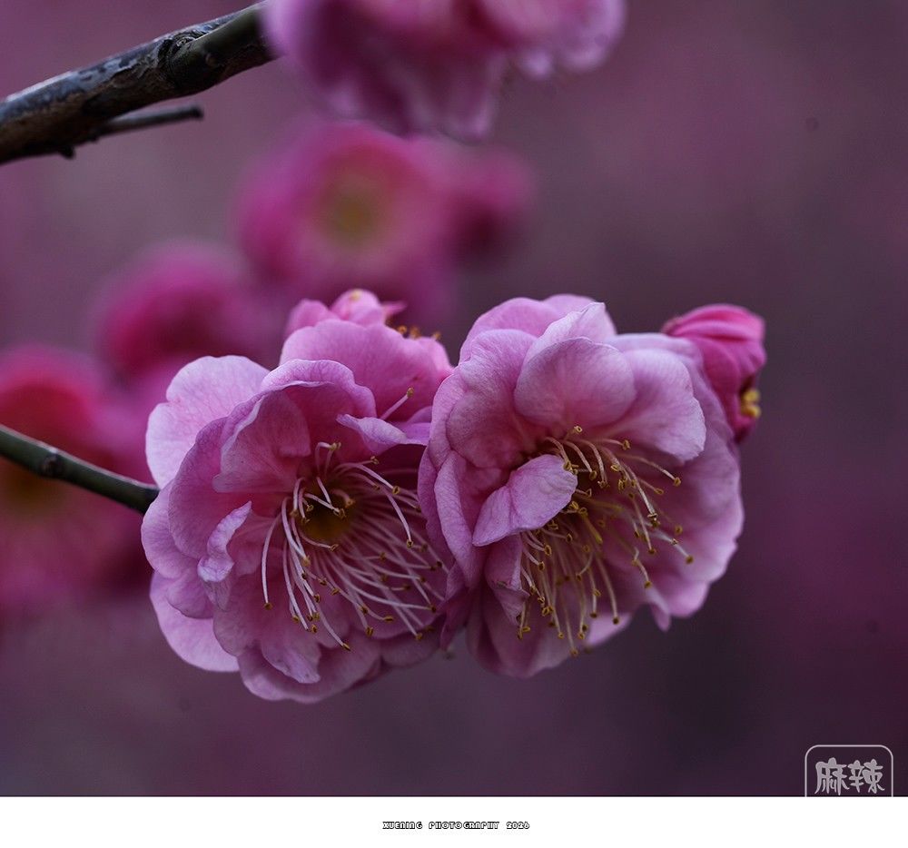 _DSC2047 ����.jpg