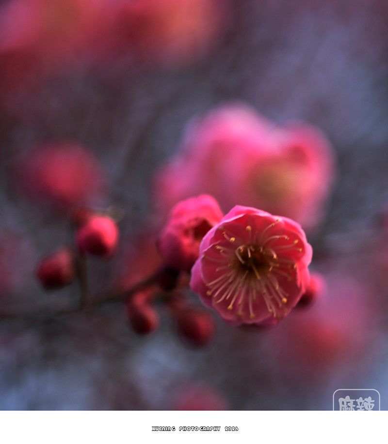 _DSC1986 ����.jpg