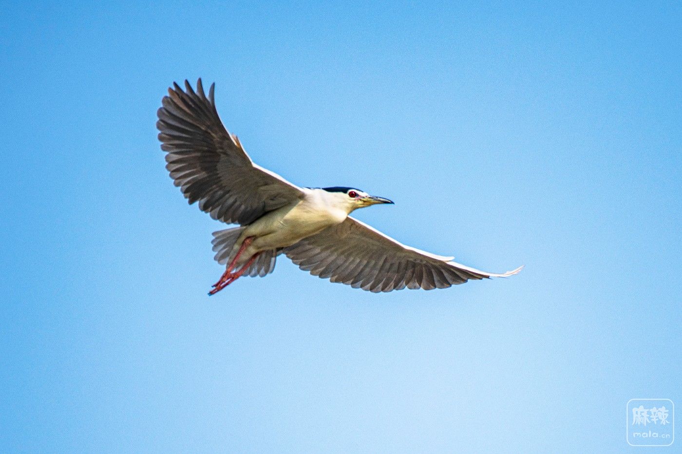 DSC_1909 ����.jpg