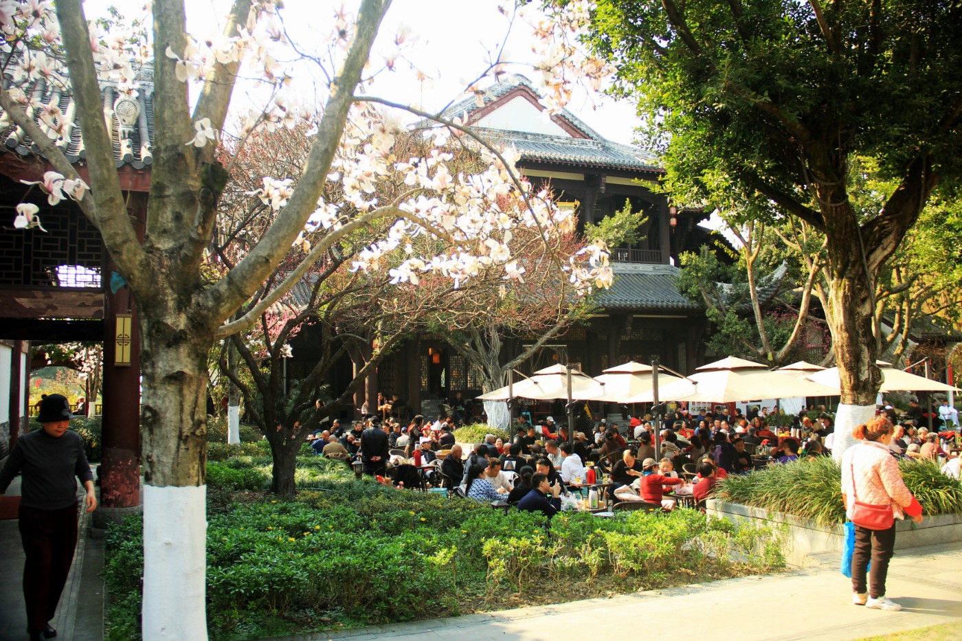 ���շ�⣭�������� 064.jpg