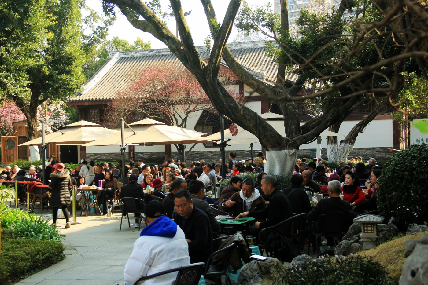 ���շ�⣭�������� 067.jpg