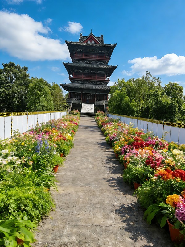 ���� (2).png