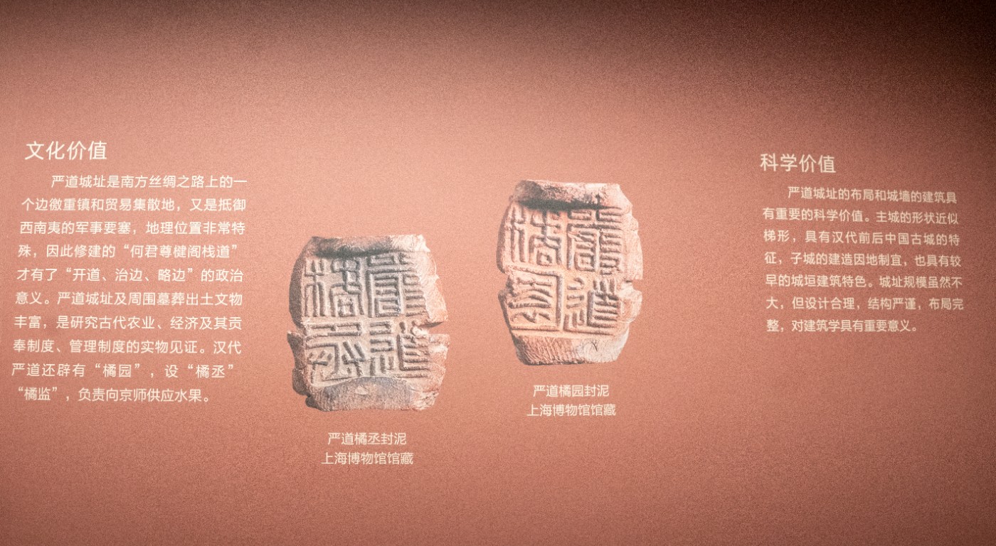 DSC09953 ����.jpg