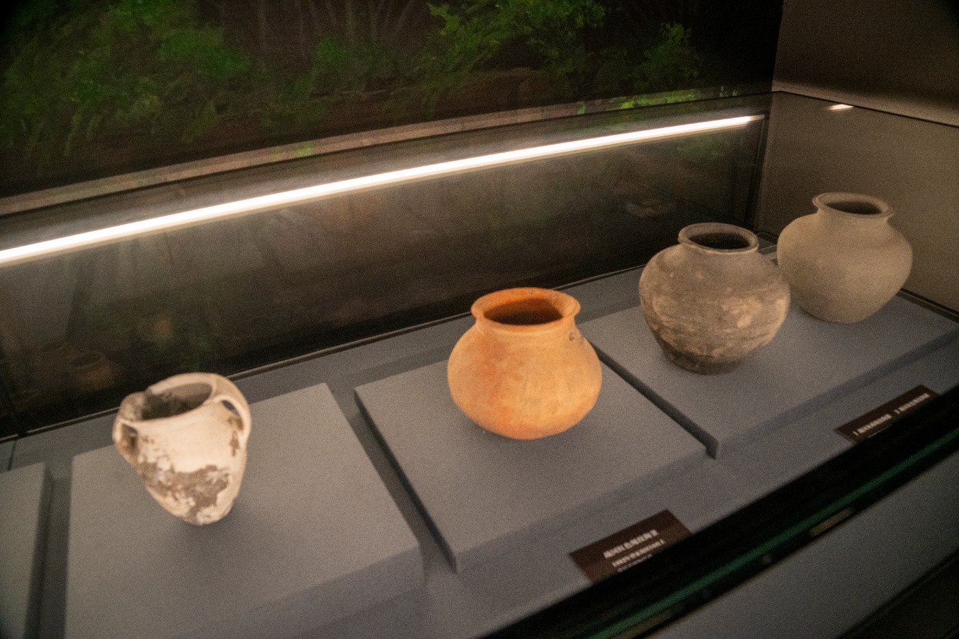 DSC09957 ����.jpg