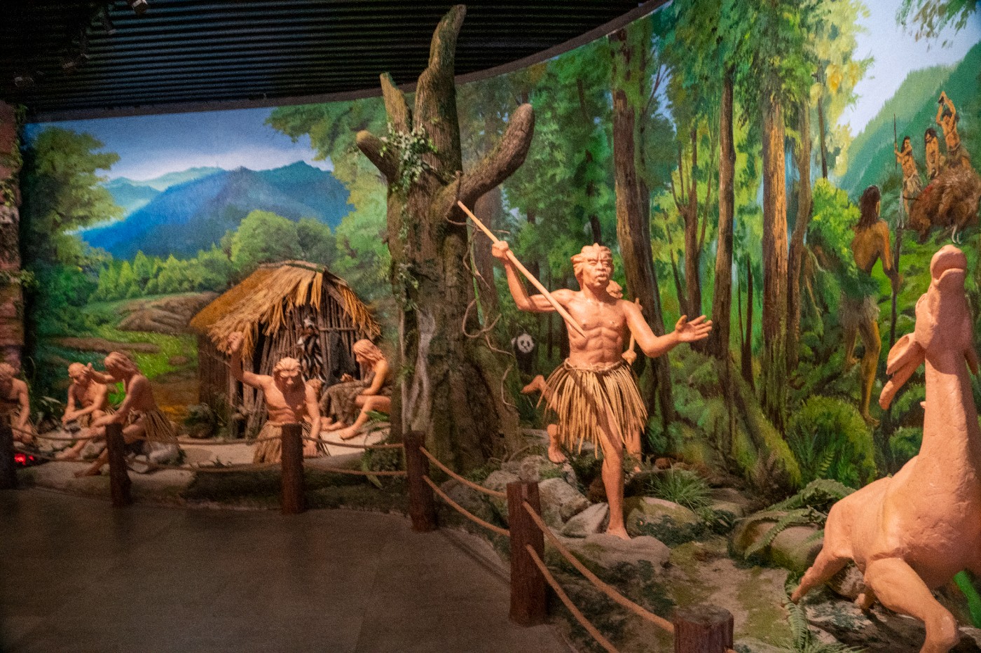 DSC09946 ����.jpg