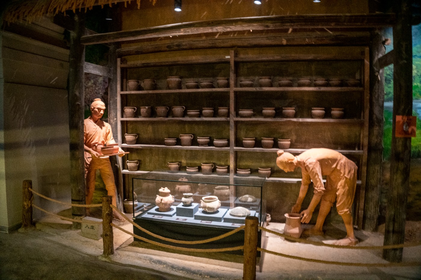 DSC09955 ����.jpg