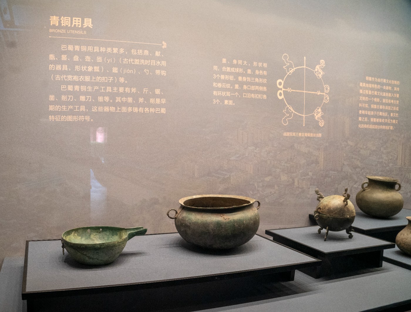 DSC09963 ����.jpg