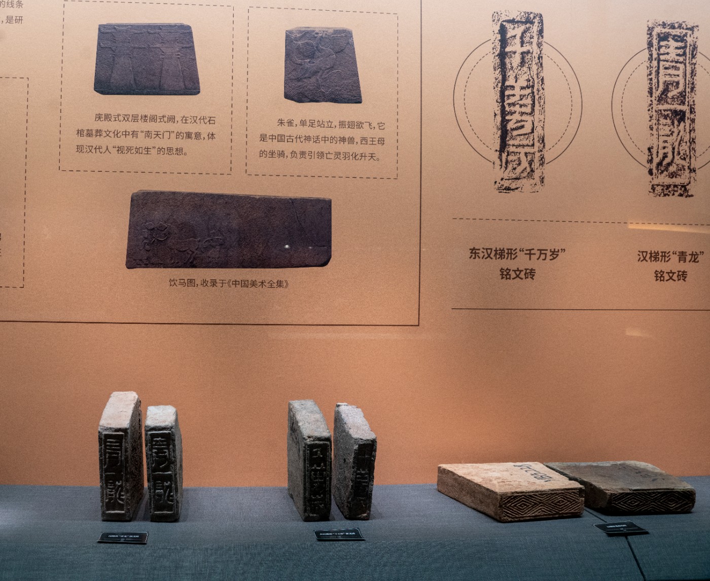 DSC09991 ����.jpg