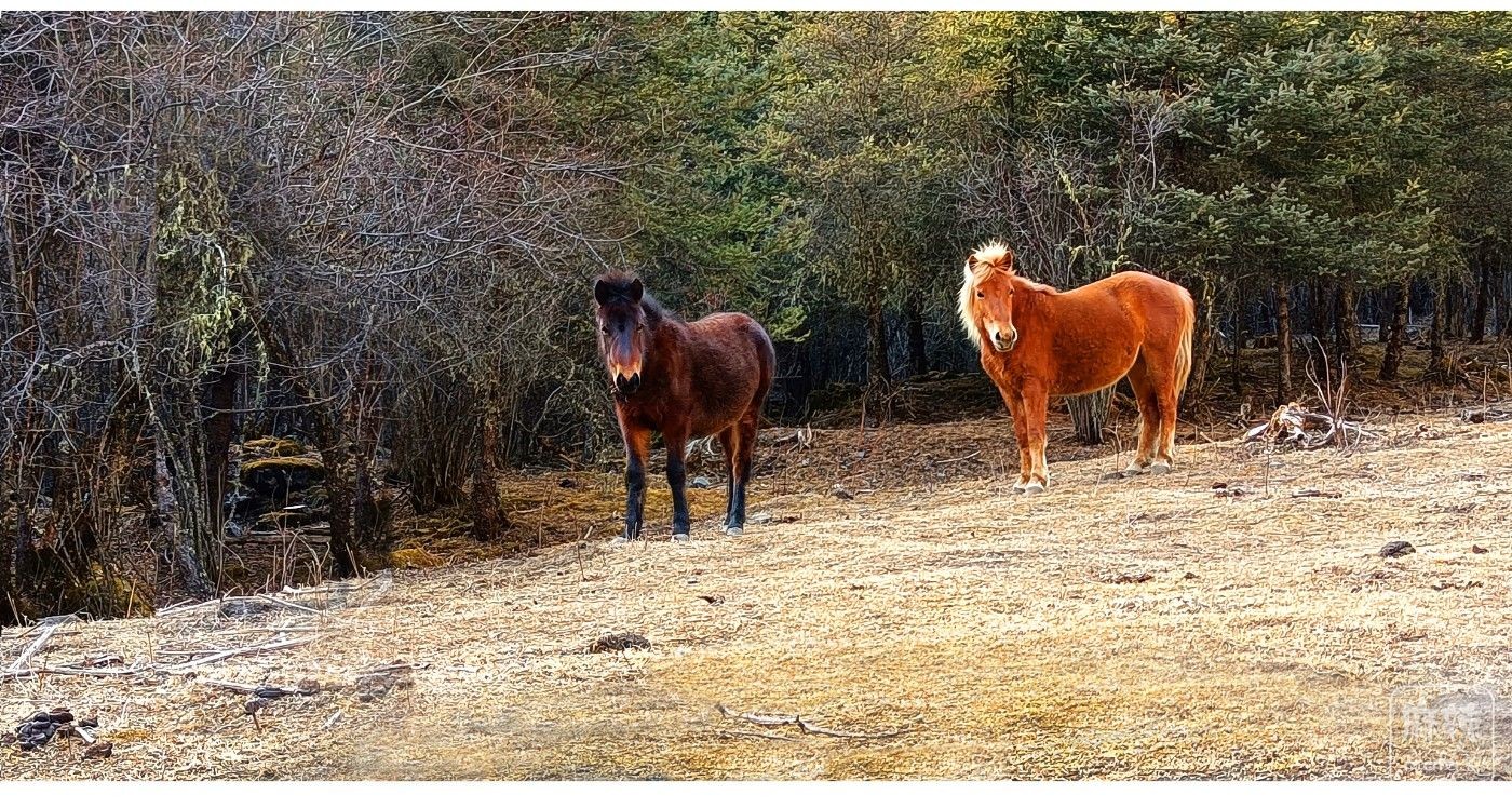 6 ����С������.jpg