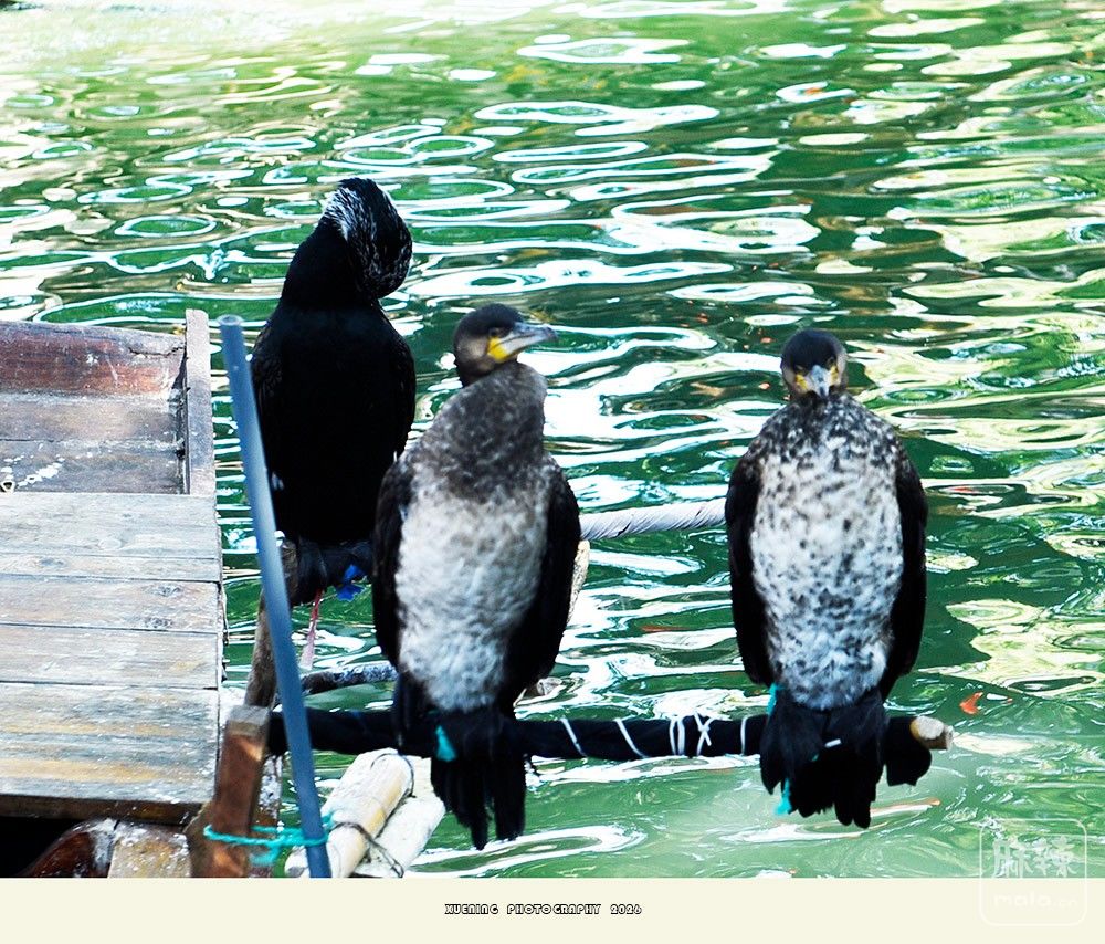 _DSC2770 ����.jpg