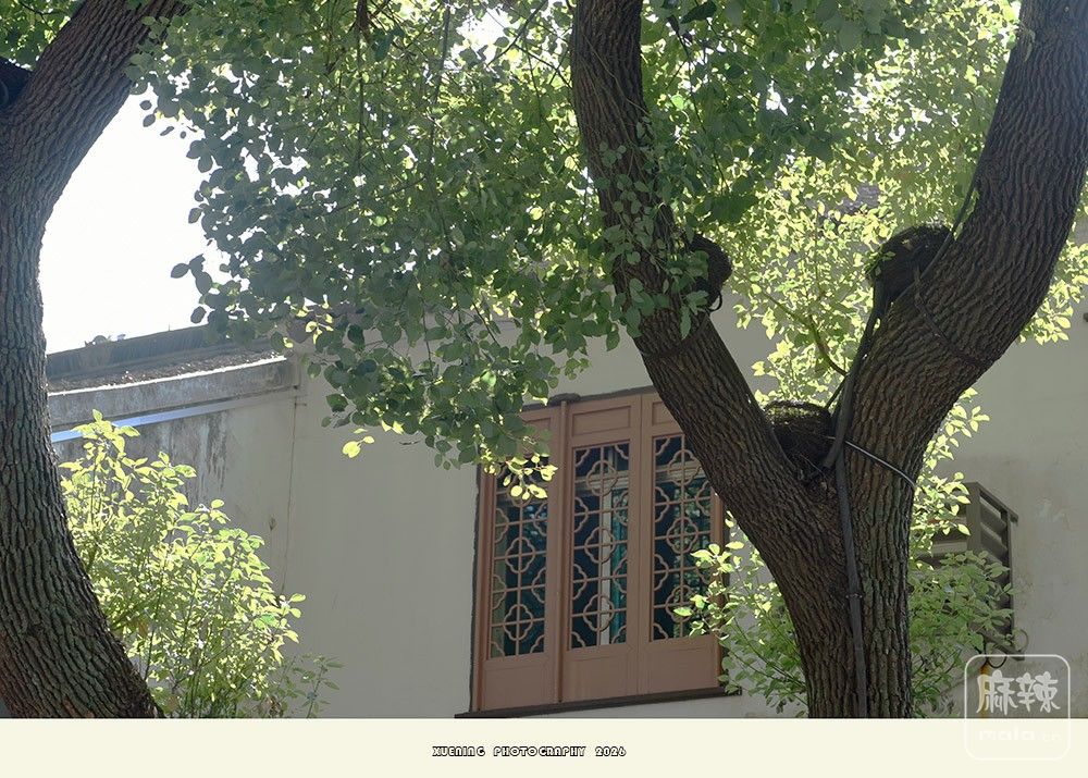 _DSC2717 ����.jpg