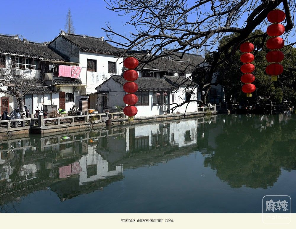 _DSC2646 ����.jpg